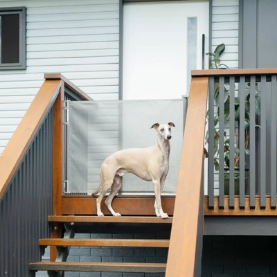 Perma Child Safety Wide Retractable Gate - Gray 3 Perma Child Safety Wide Retractable Gate - Gray - Image 3