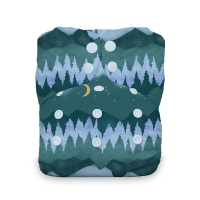 Thirsties | One Size All-in-One Cloth Diaper Pack Of 1 2 Thirsties | One Size All-in-One Cloth Diaper Pack Of 1 - Image 2