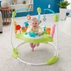 Fisher Price Fisher-Price Fitness Fun Folding Jumperoo