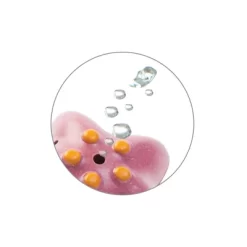 Plantoys| Sea Life Bath Set -Baby Care Deals Store GUEST 4c30beb0 8d92 4060 a861 f5897cef0192