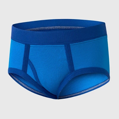 Hanes Toddler Boys' Briefs - Blue 3 Hanes Toddler Boys' Briefs - Blue - Image 3