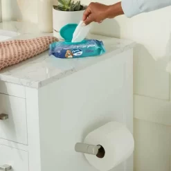 Charmin Flushable Wipes