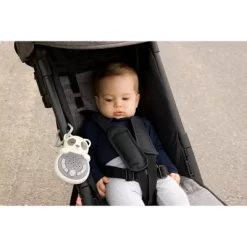 Cloud-B Cloud B Sweet Dreams On The Go Panda Toy -Baby Care Deals Store GUEST 69264233 227e 4888 8523 e39a1b6dbd65