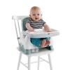 Fisher Price Fisher-Price Healthy Care Deluxe Booster Seat