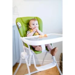 Joovy Nook - Southern Sea Otter National Park Foundation Edition, Greenamole -Baby Care Deals Store GUEST d22aab8f 7909 4422 95de 5422afa2e4cc