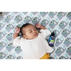 Mommy’s Bliss Mommy's Bliss Gripe Water Night Time For Colic, Gas Or Stomach Discomfort - 4 Fl Oz -Baby Care Deals Store GUEST e83c629a 3726 4458 8d93 25c374e8a057